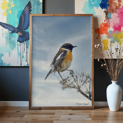 Our Cretan Gallery Hahnemühle & Awagami & Epson Canvas Fine Art Prints
