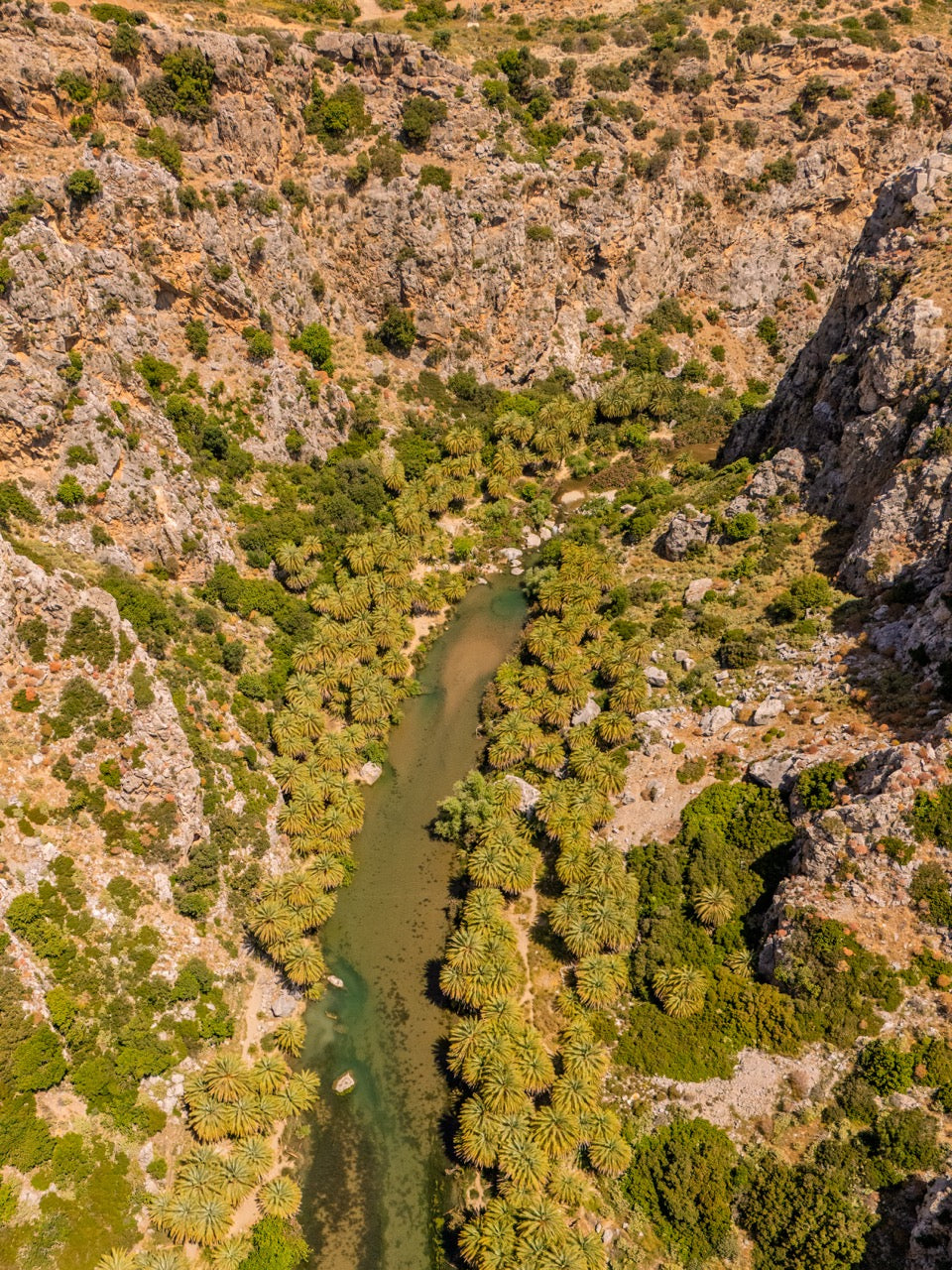 Our Cretan Gallery Hahnemühle & Awagami & Epson Canvas Fine Art Prints