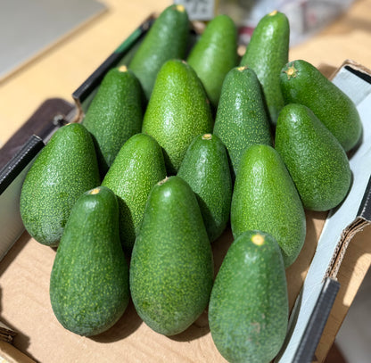 BIO Cretan Avocado organic