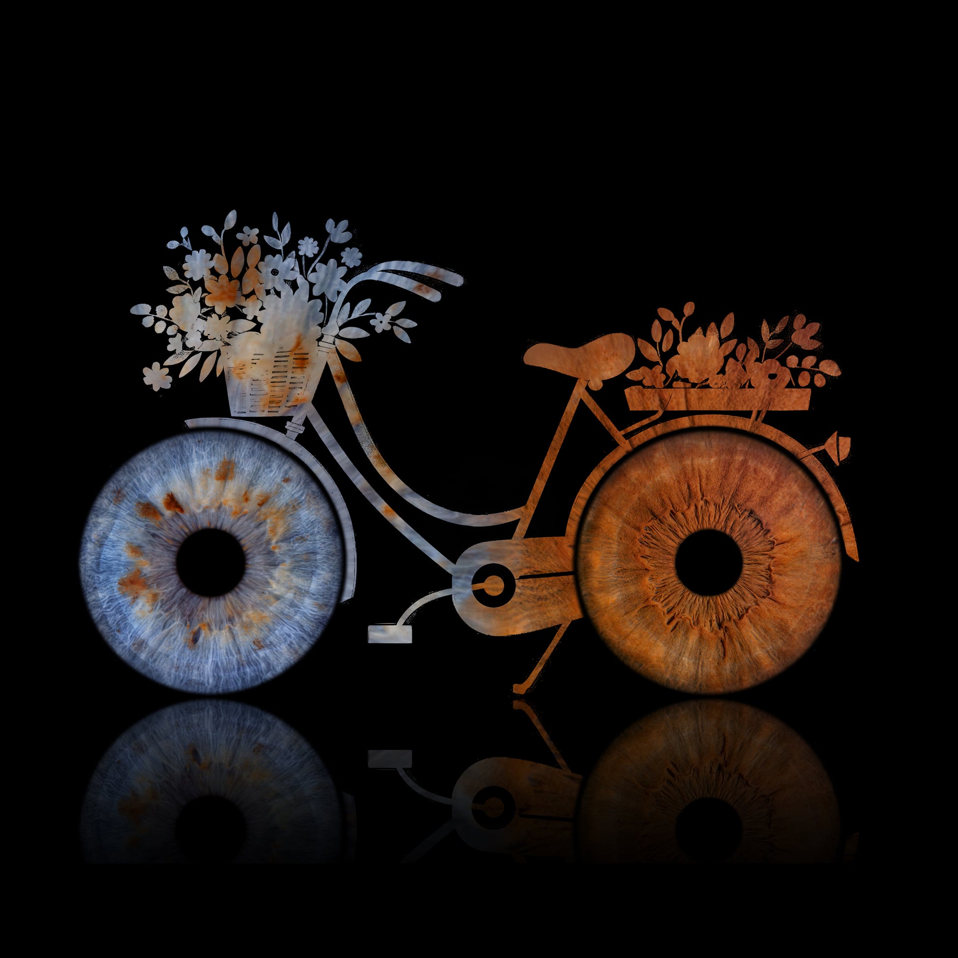 Double Iris Photography Metal Poster Bicycle
