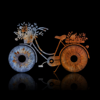 Double Iris Photography Metal Poster Bicycle