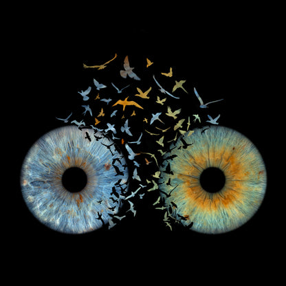 Double Iris Photography Metal Poster Birds