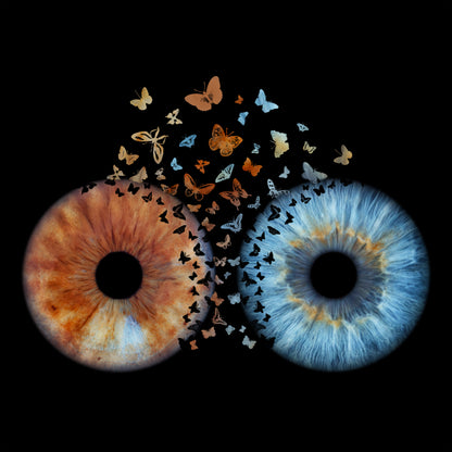 Double Iris Photography Metal Poster Butterfly