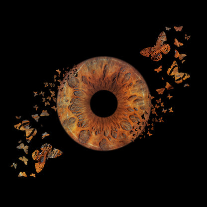 Single Iris Photography Metal Poster Butterfly-2