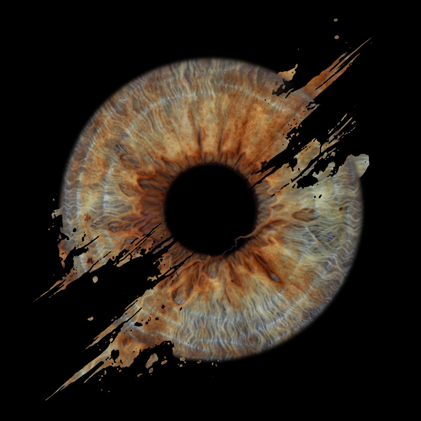 Single Iris Photography Metal Poster Crack