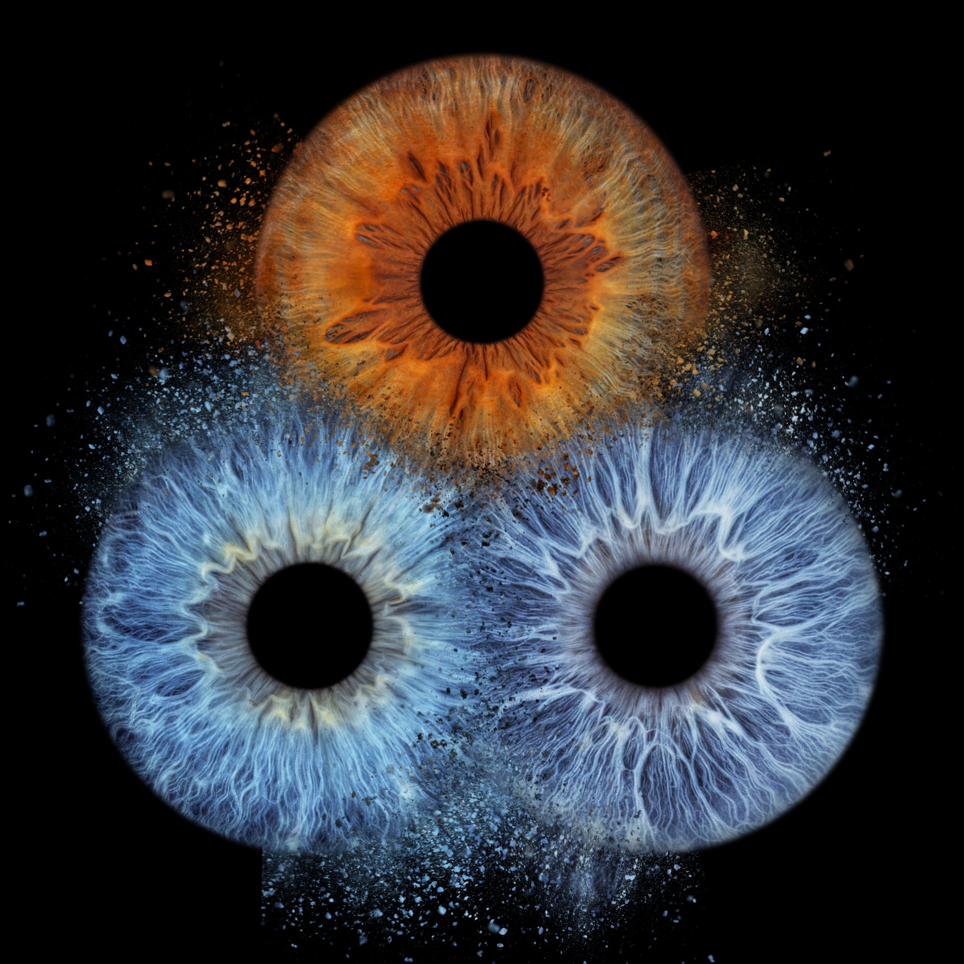 Triple Iris Photography Metal Poster Explode001