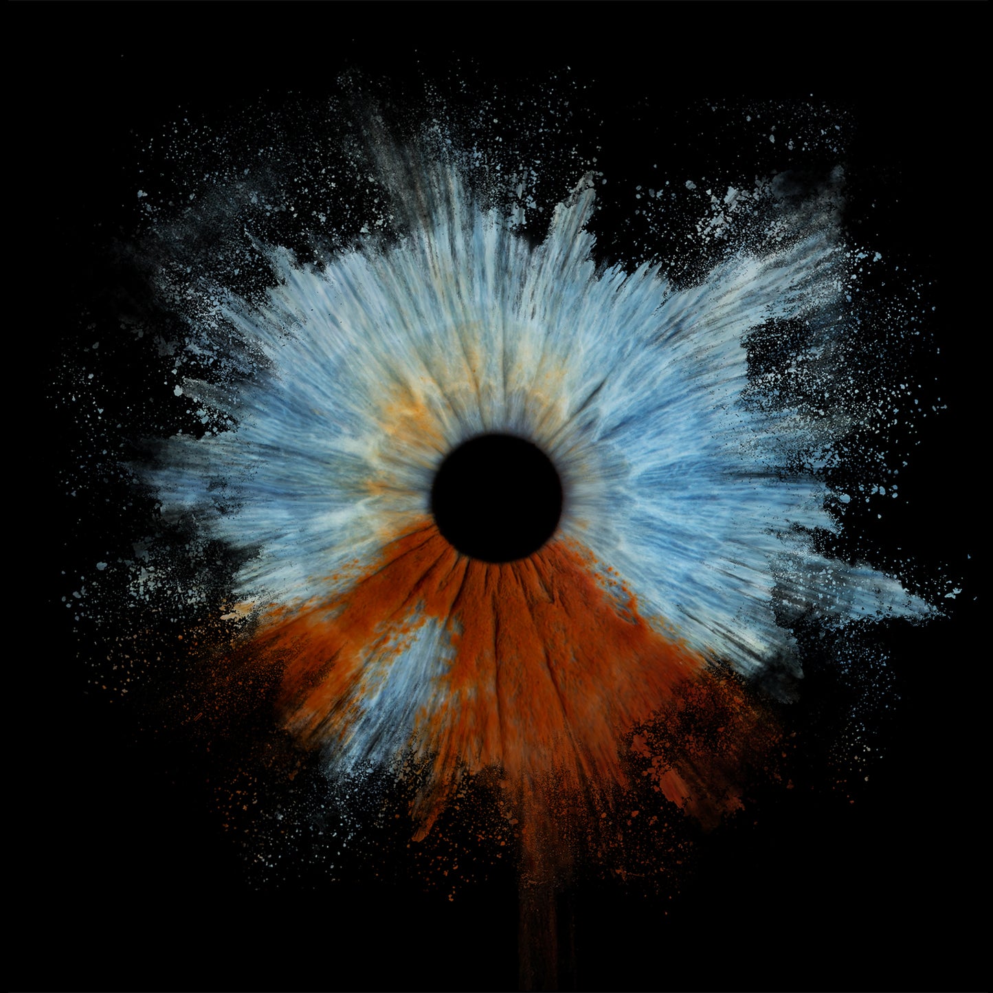 Single Iris Photography Metal Poster Explode-2