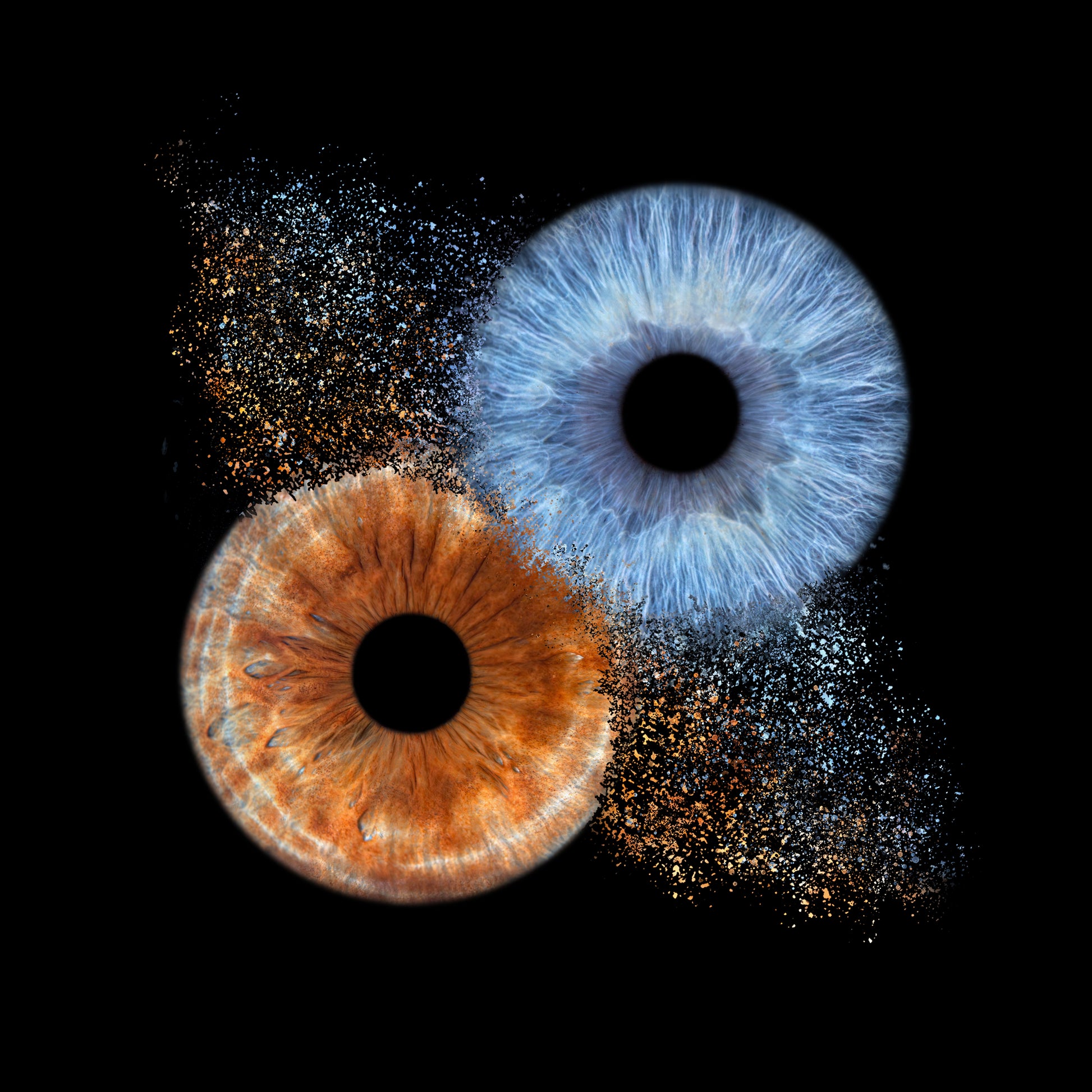Double Iris Photography Metal Poster Explosion-1