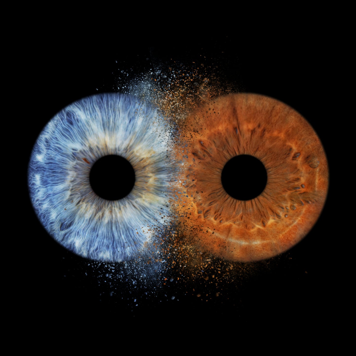 Double Iris Photography Metal Poster Explosion-2