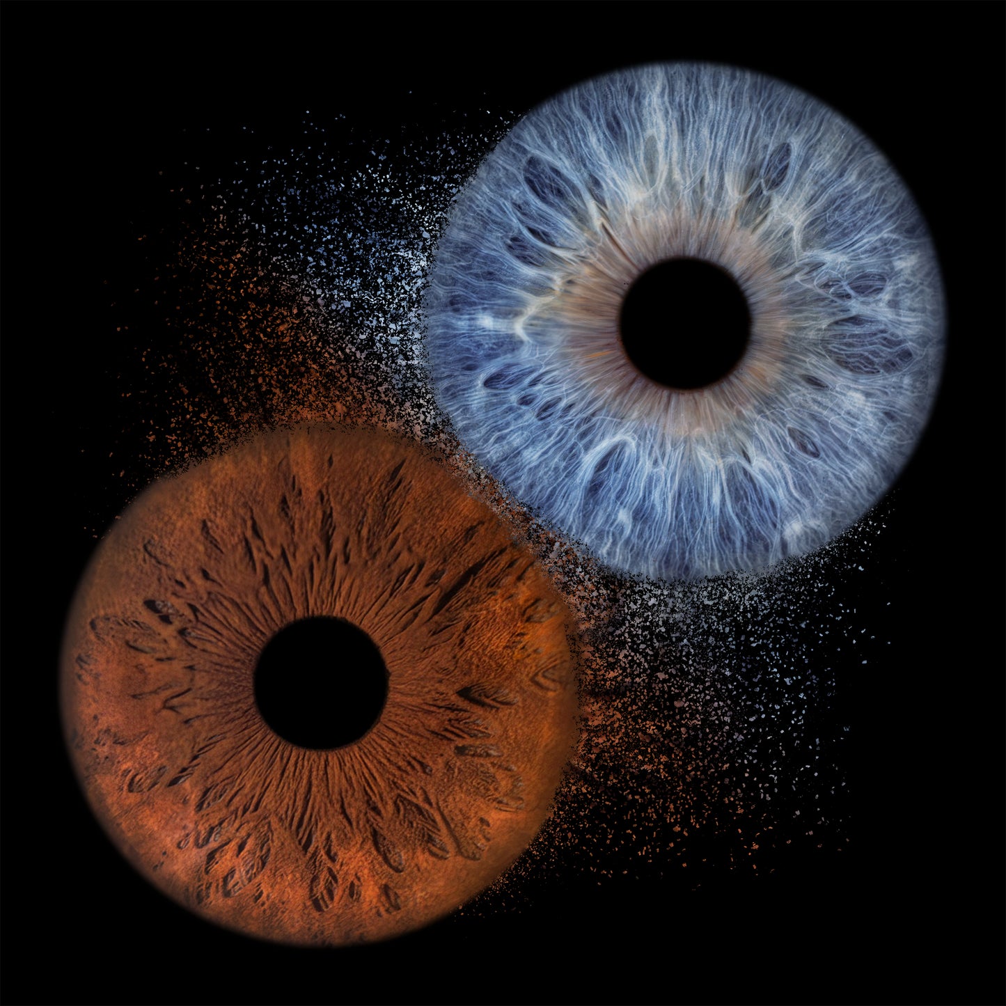Double Iris Photography Metal Poster Explosion-3
