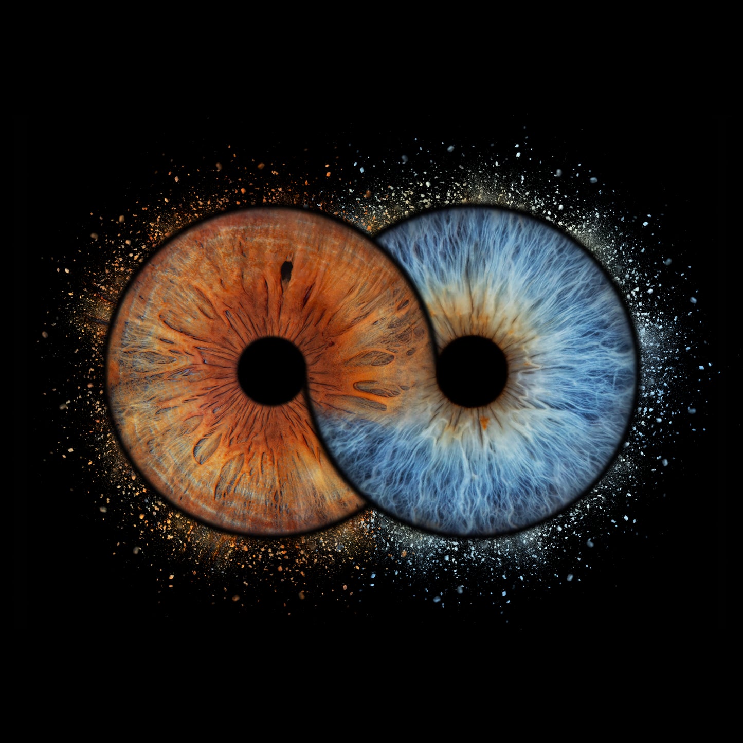 Double Iris Photography Metal Poster Forever