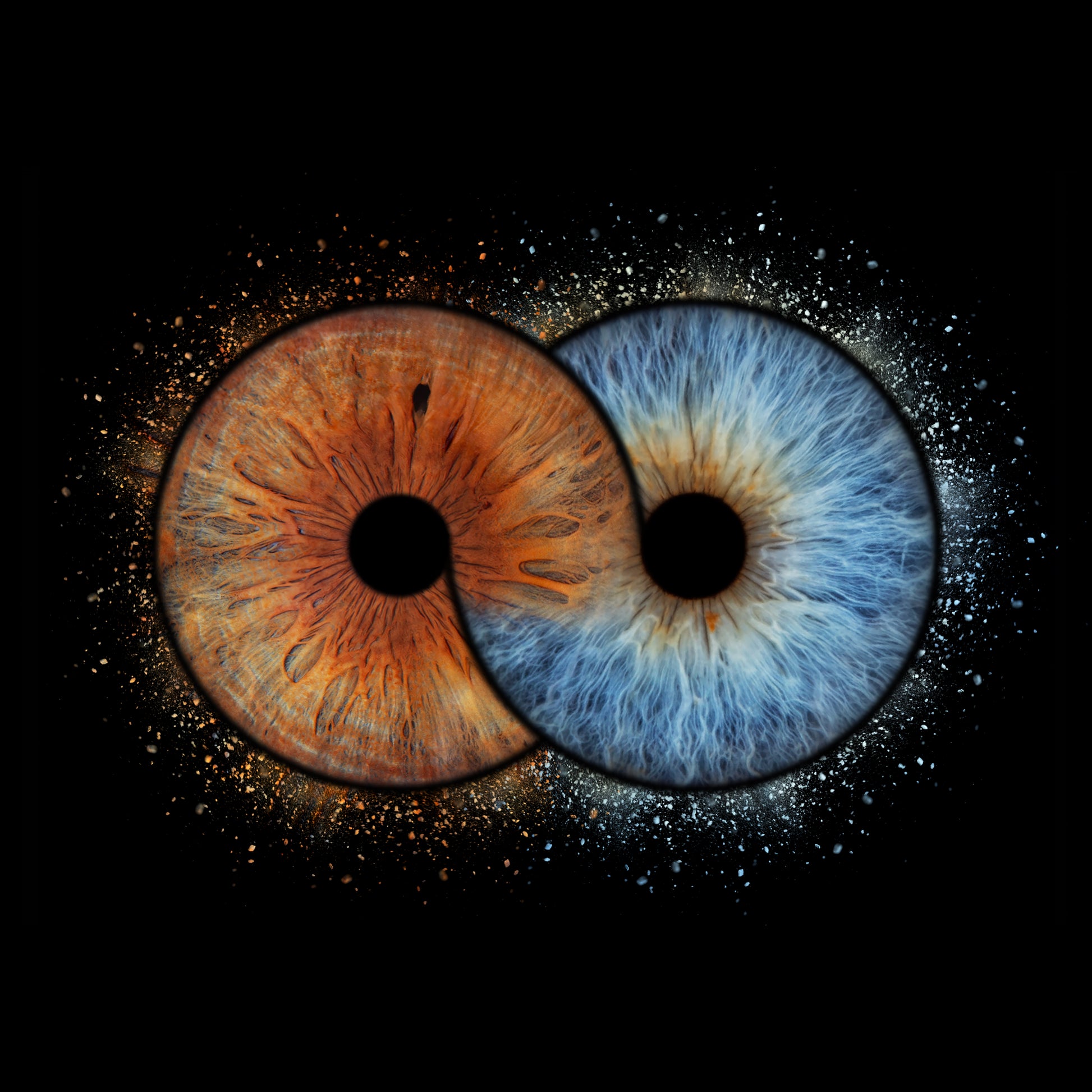 Double Iris Photography Metal Poster Forever