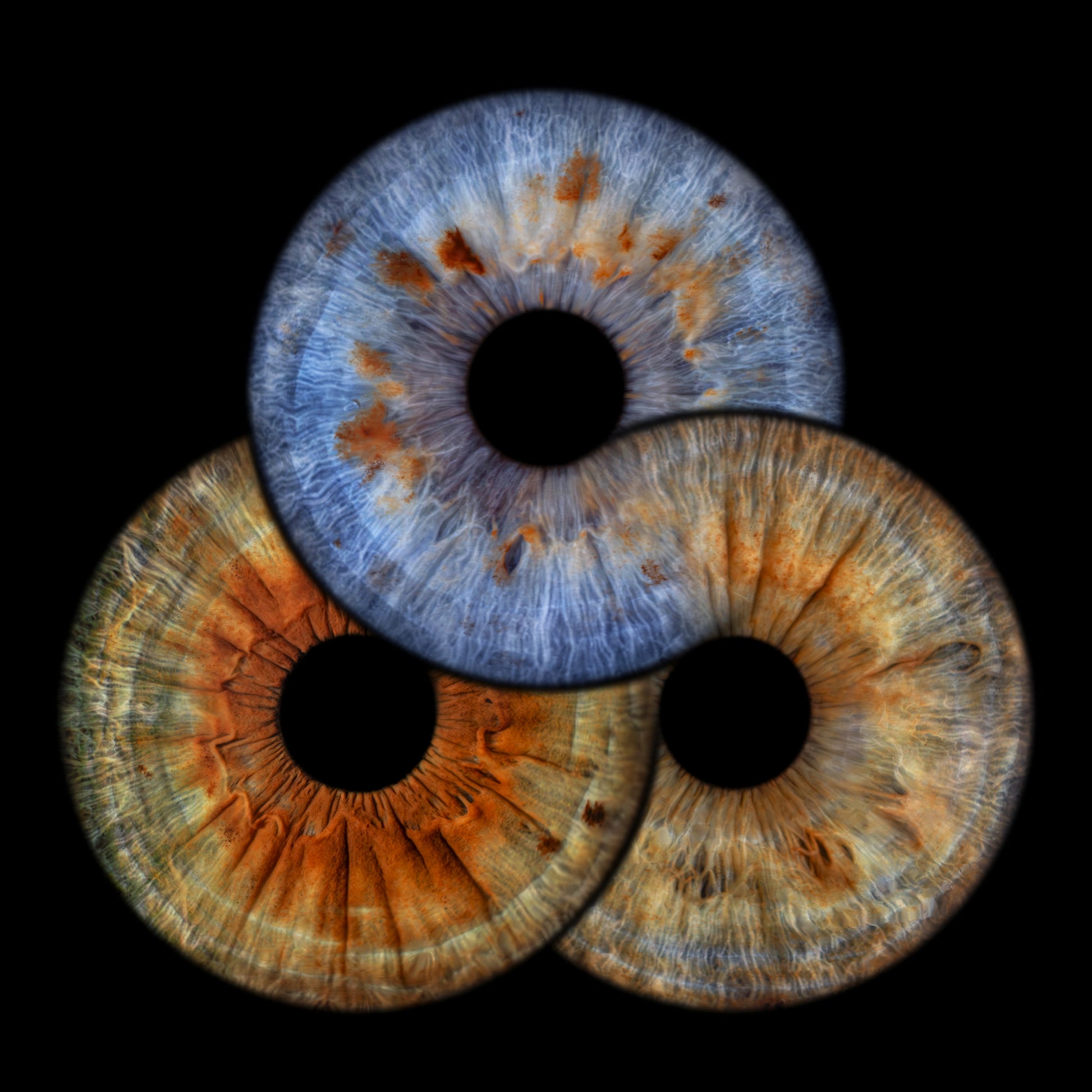 Triple Iris Photography Metal Poster Forever001