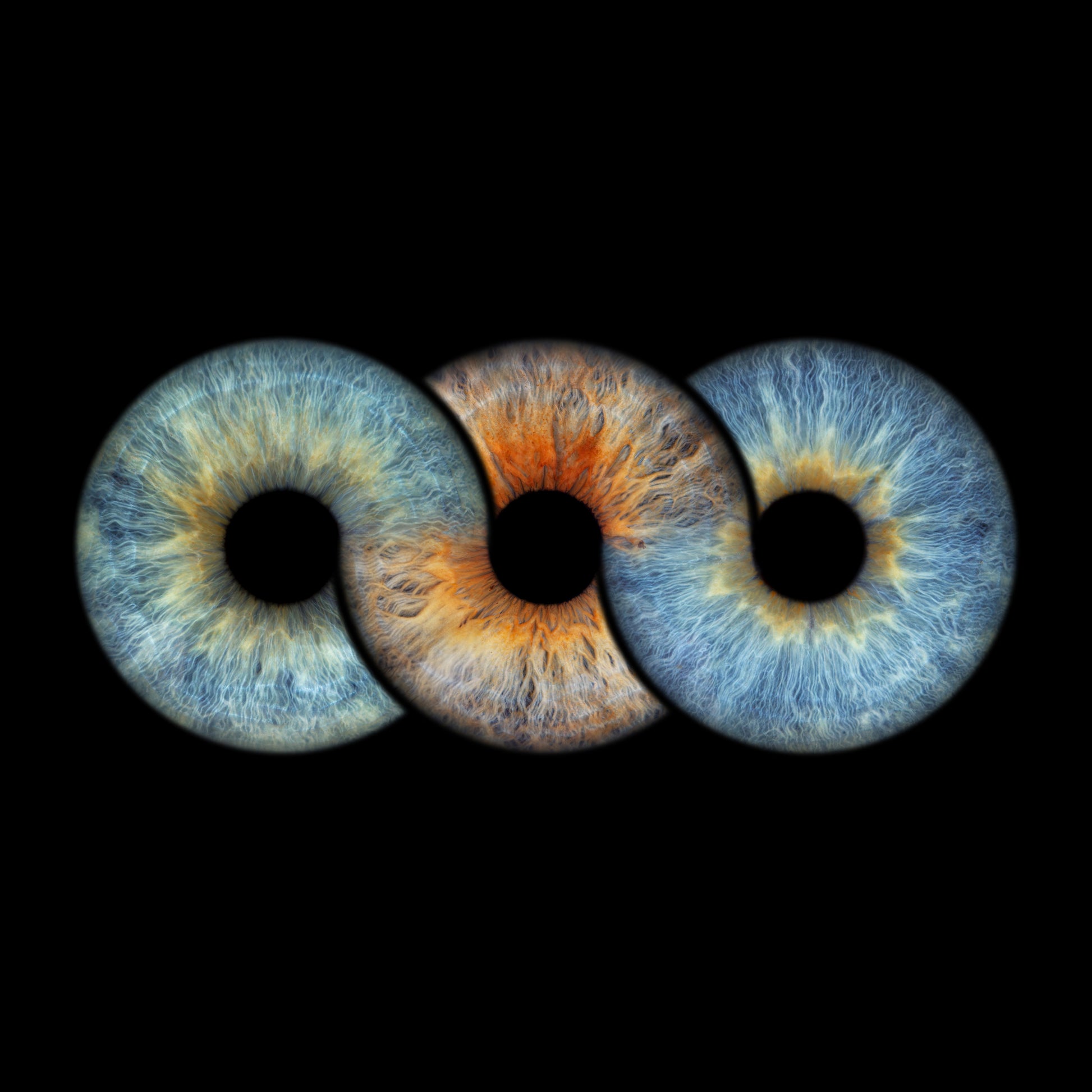 Triple Iris Photography Metal Poster Forever003