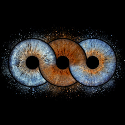 Triple Iris Photography Metal Poster Forever002