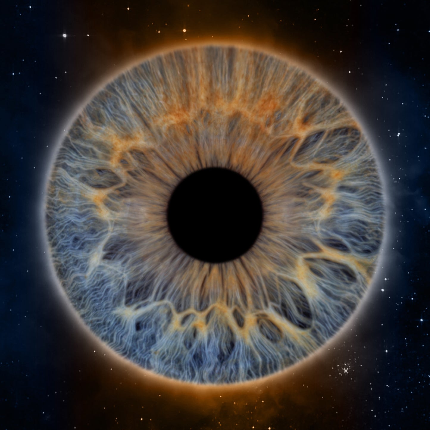 Single Iris Photography Metal Poster Halo