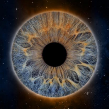 Single Iris Photography Metal Poster Halo