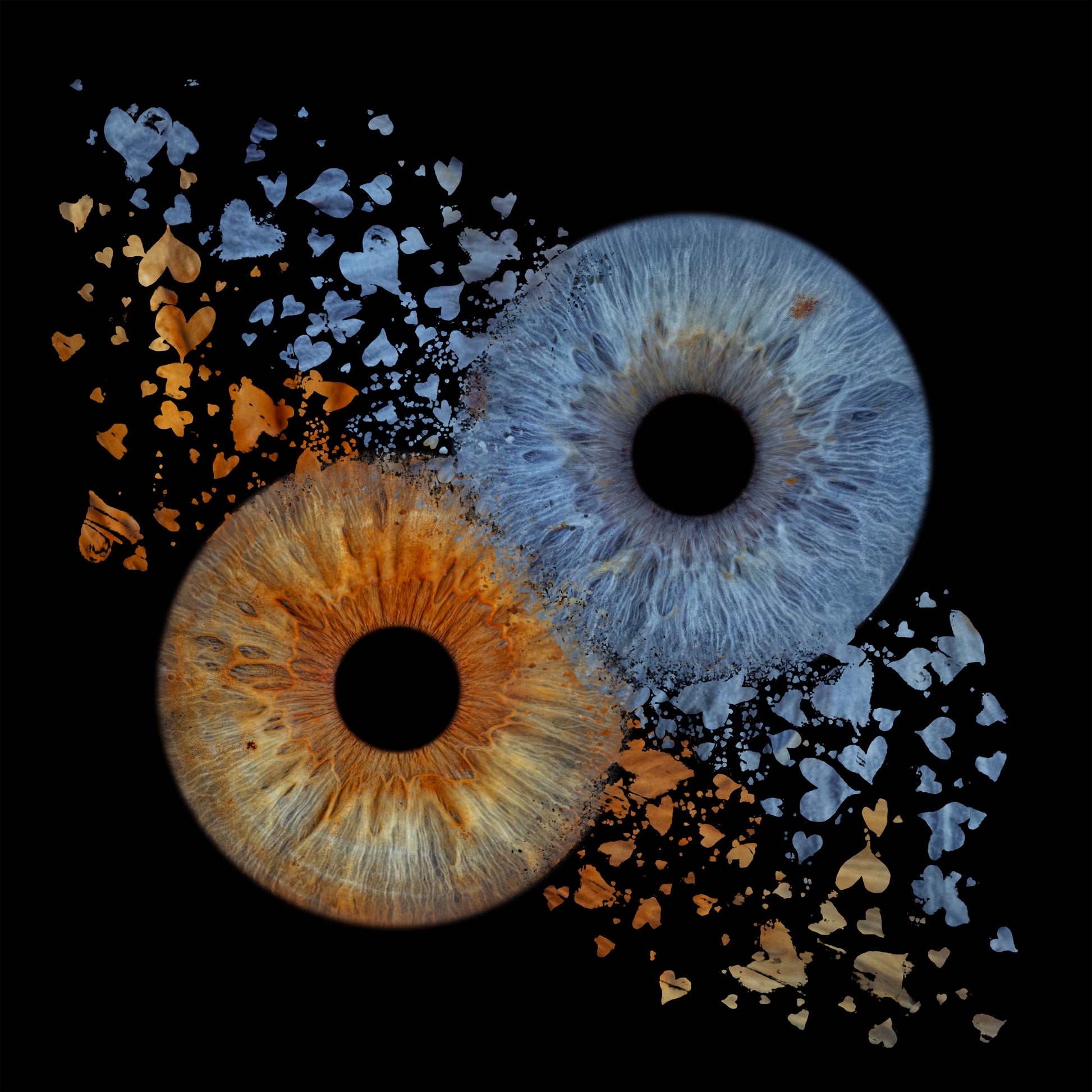 Double Iris Photography Metal Poster Hearts-3