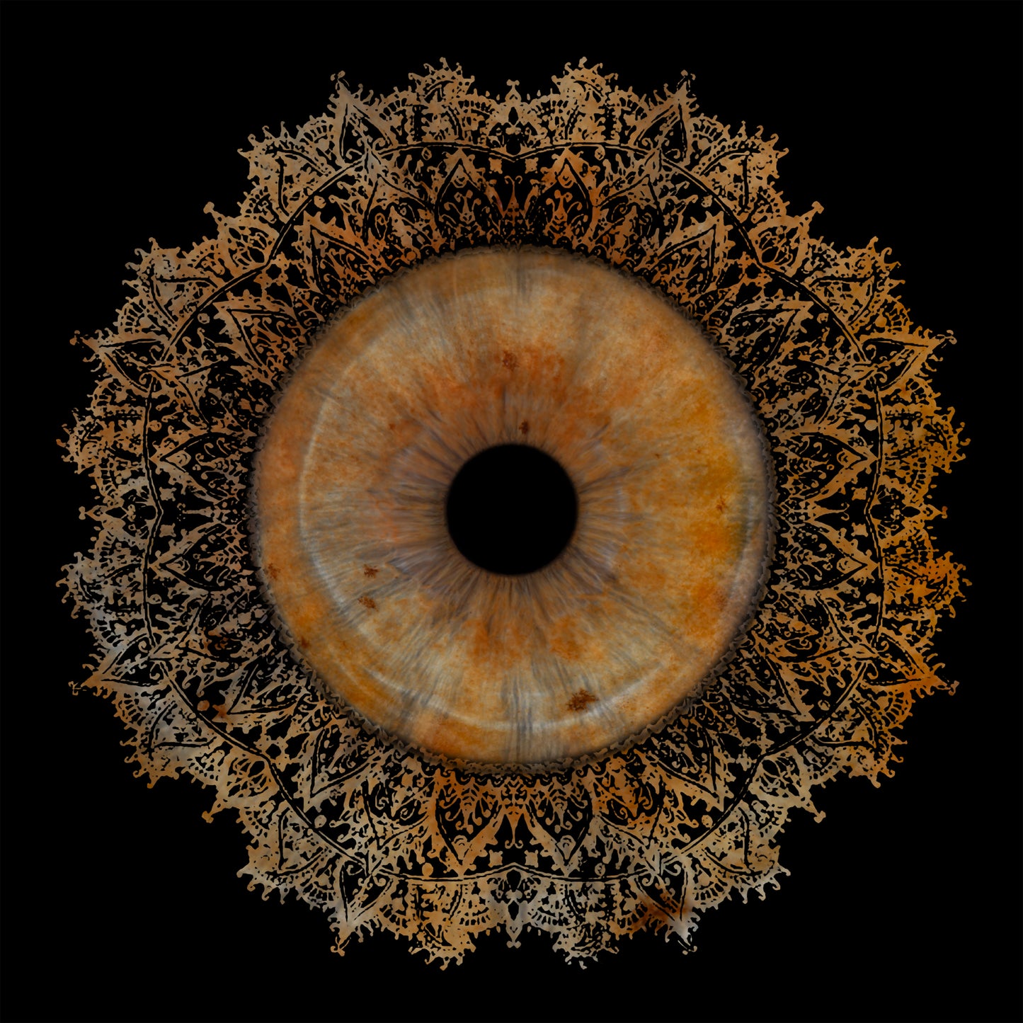 Single Iris Photography Metal Poster Lace