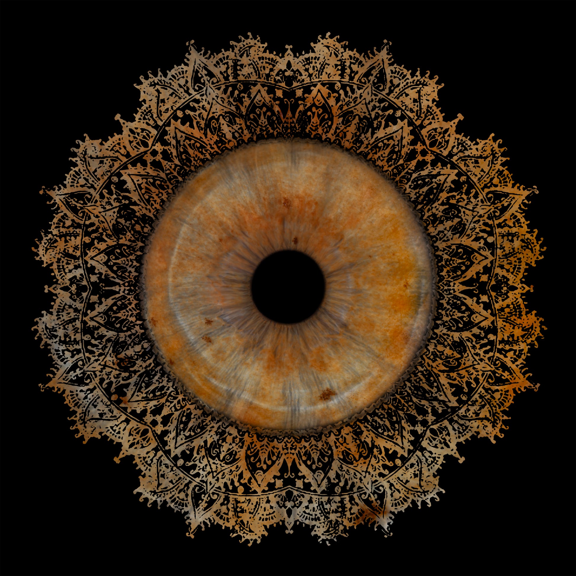 Single Iris Photography Metal Poster Lace