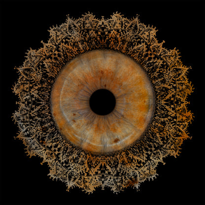 Single Iris Photography Metal Poster Lace