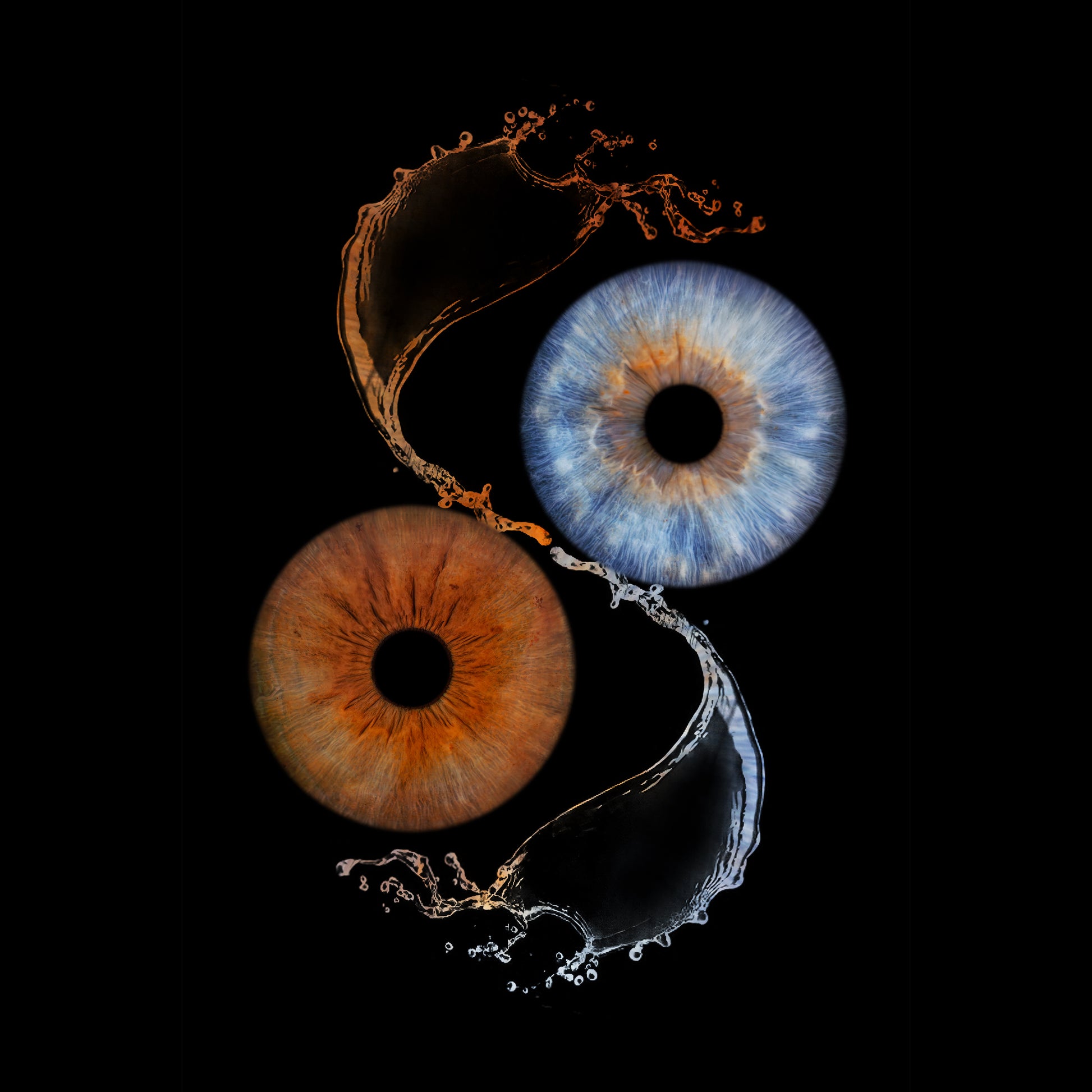 Double Iris Photography Metal Poster Liquid