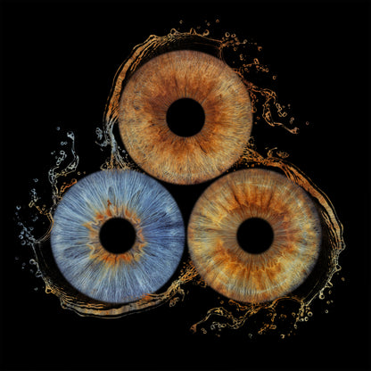 Triple Iris Photography Metal Poster Liquid001