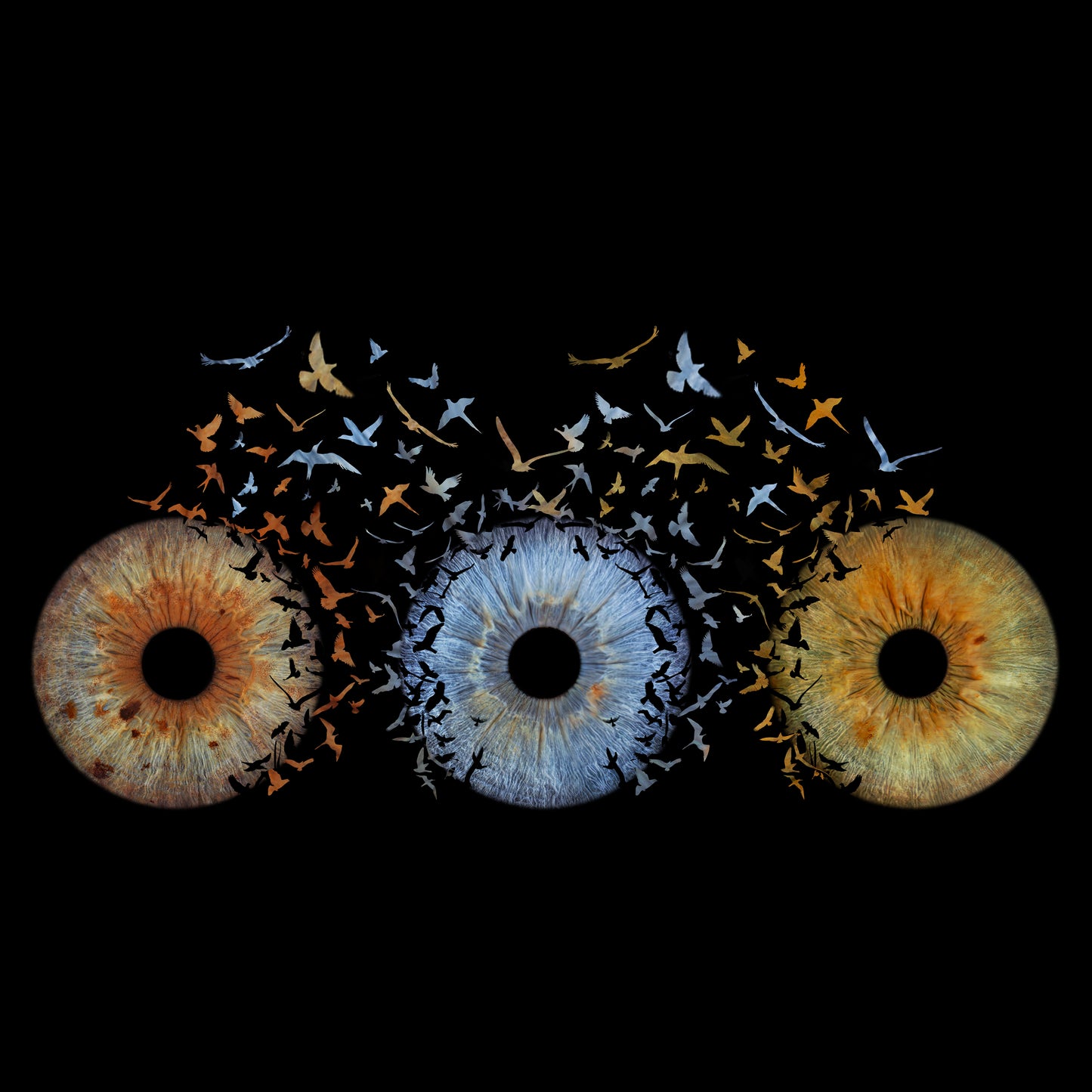Triple Iris Photography Metal Poster Lovebirds