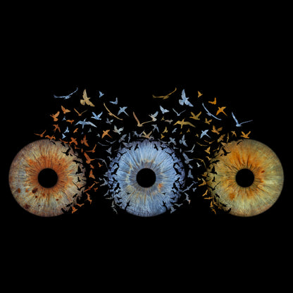 Triple Iris Photography Metal Poster Lovebirds