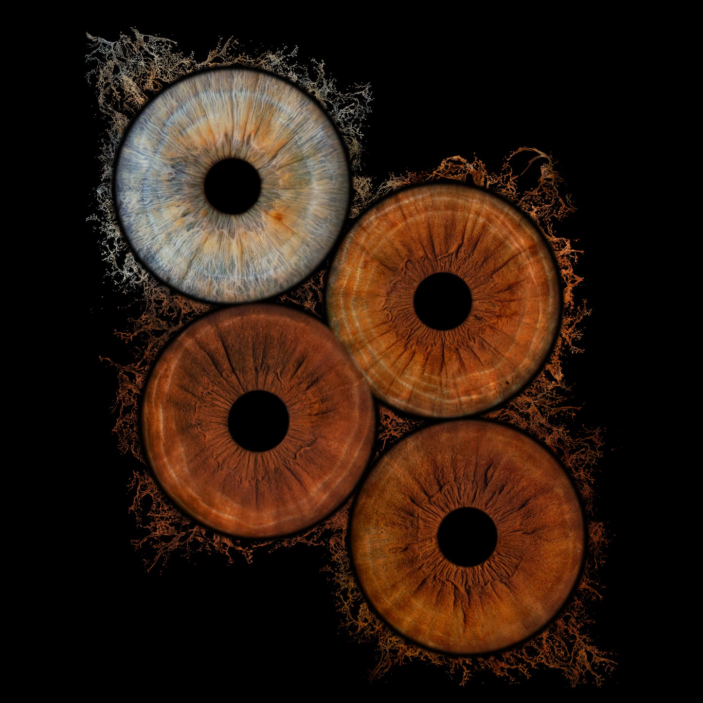 Quad Iris Photography Metal Poster Quad01