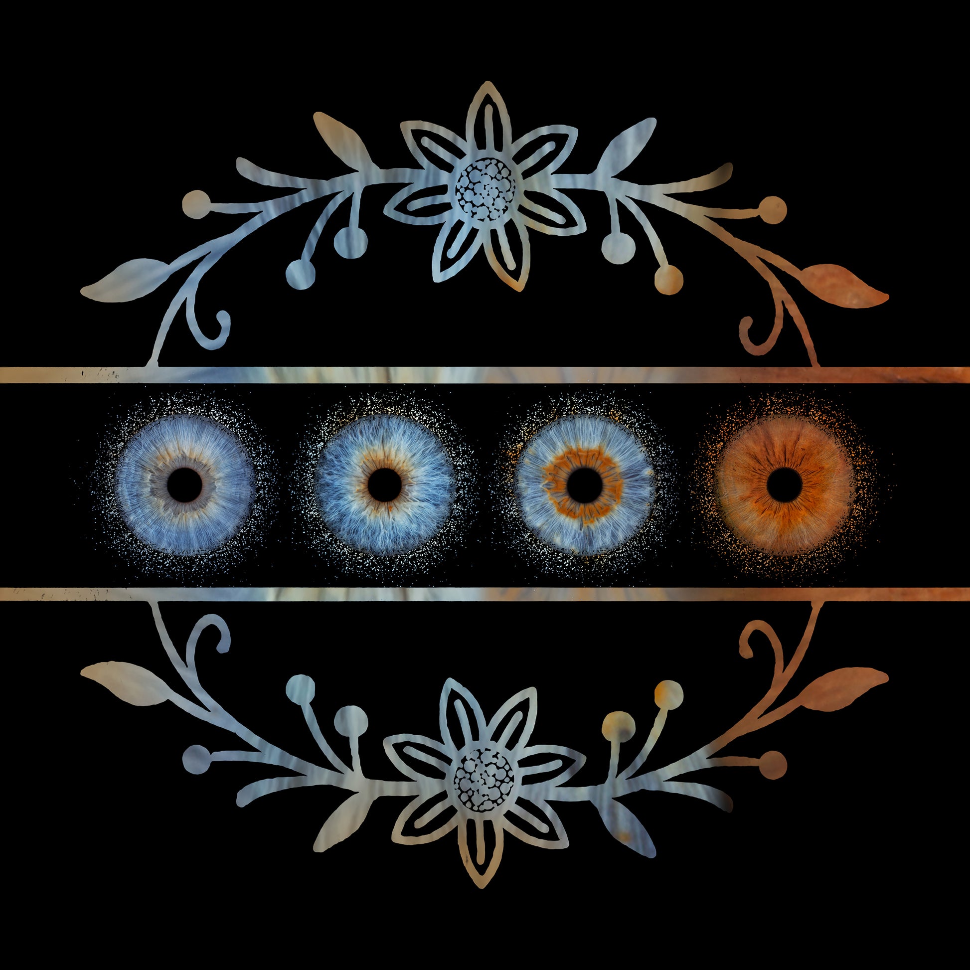 Quad Iris Photography Metal Poster Quad02