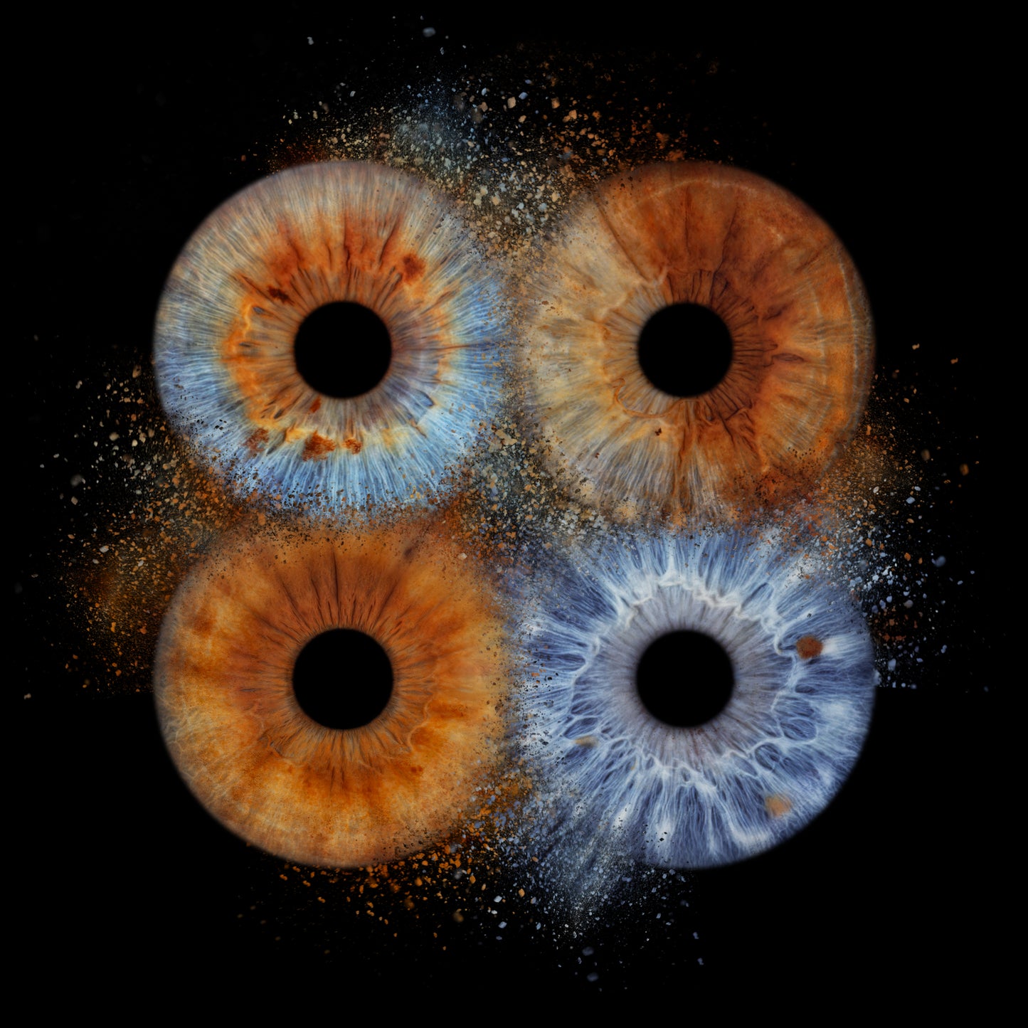 Quad Iris Photography Metal Poster Quad03