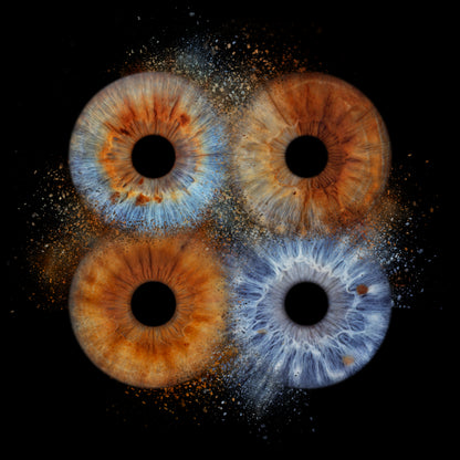 Quad Iris Photography Metal Poster Quad03