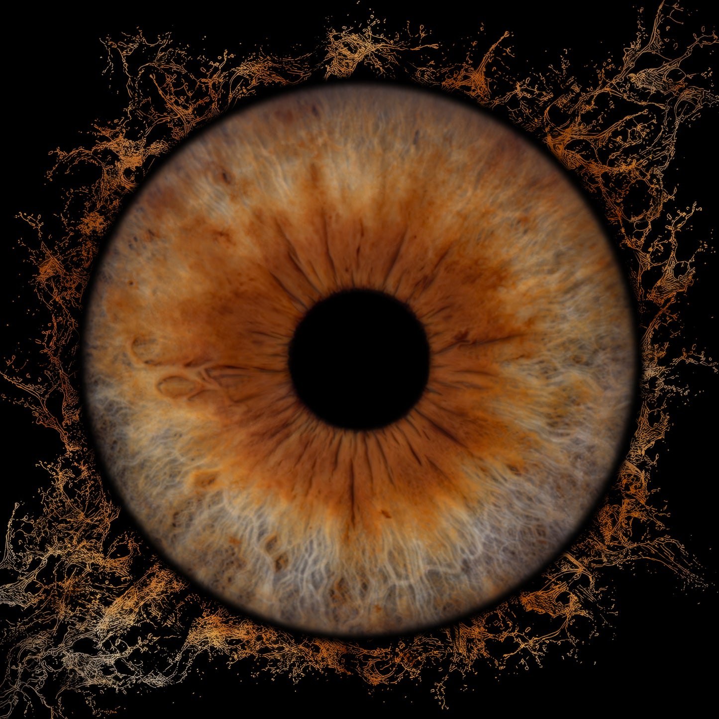 Single Iris Photography Metal Poster Splash Halo