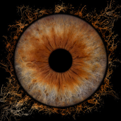 Single Iris Photography Metal Poster Splash Halo
