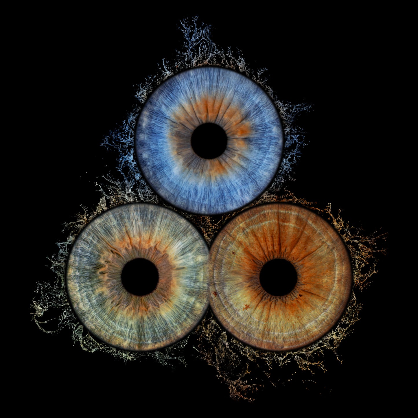 Triple Iris Photography Metal Poster Splash001