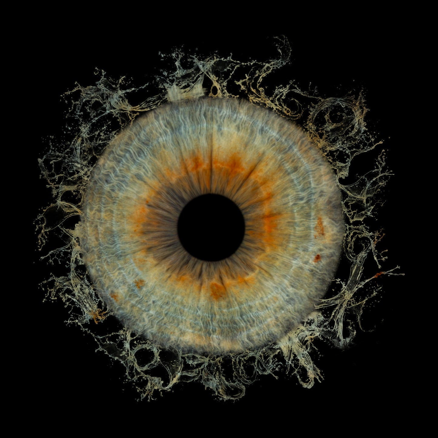 Single Iris Photography Metal Poster Splash-1