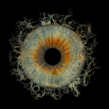 Single Iris Photography Metal Poster Splash-1