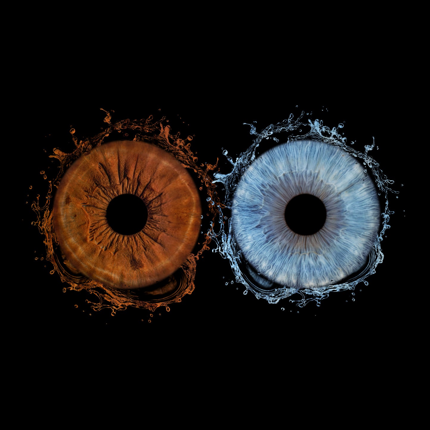 Double Iris Photography Metal Poster Splash-01