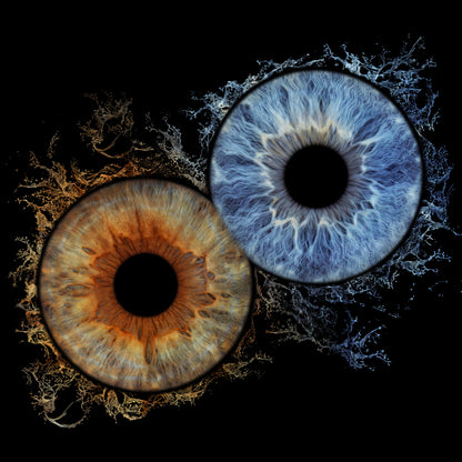 Double Iris Photography Metal Poster Splash-02