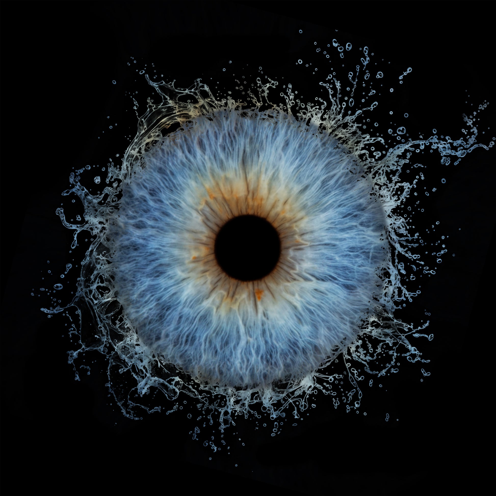 Single Iris Photography Metal Poster Splash-4