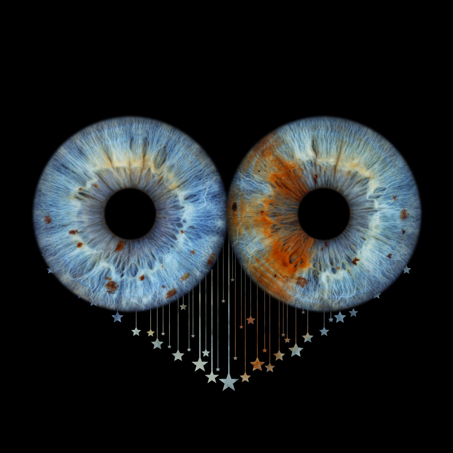 Double Iris Photography Metal Poster Stars