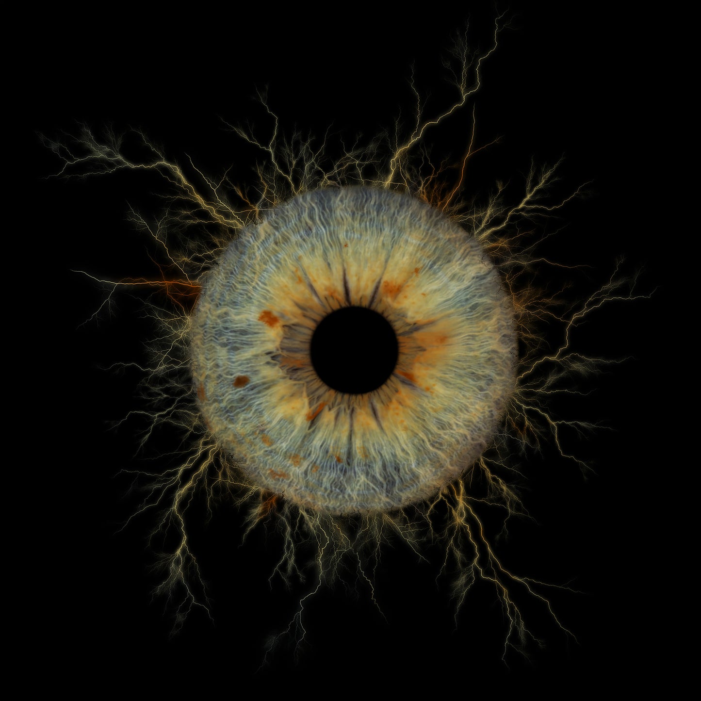 Single Iris Photography Metal Poster Thunder