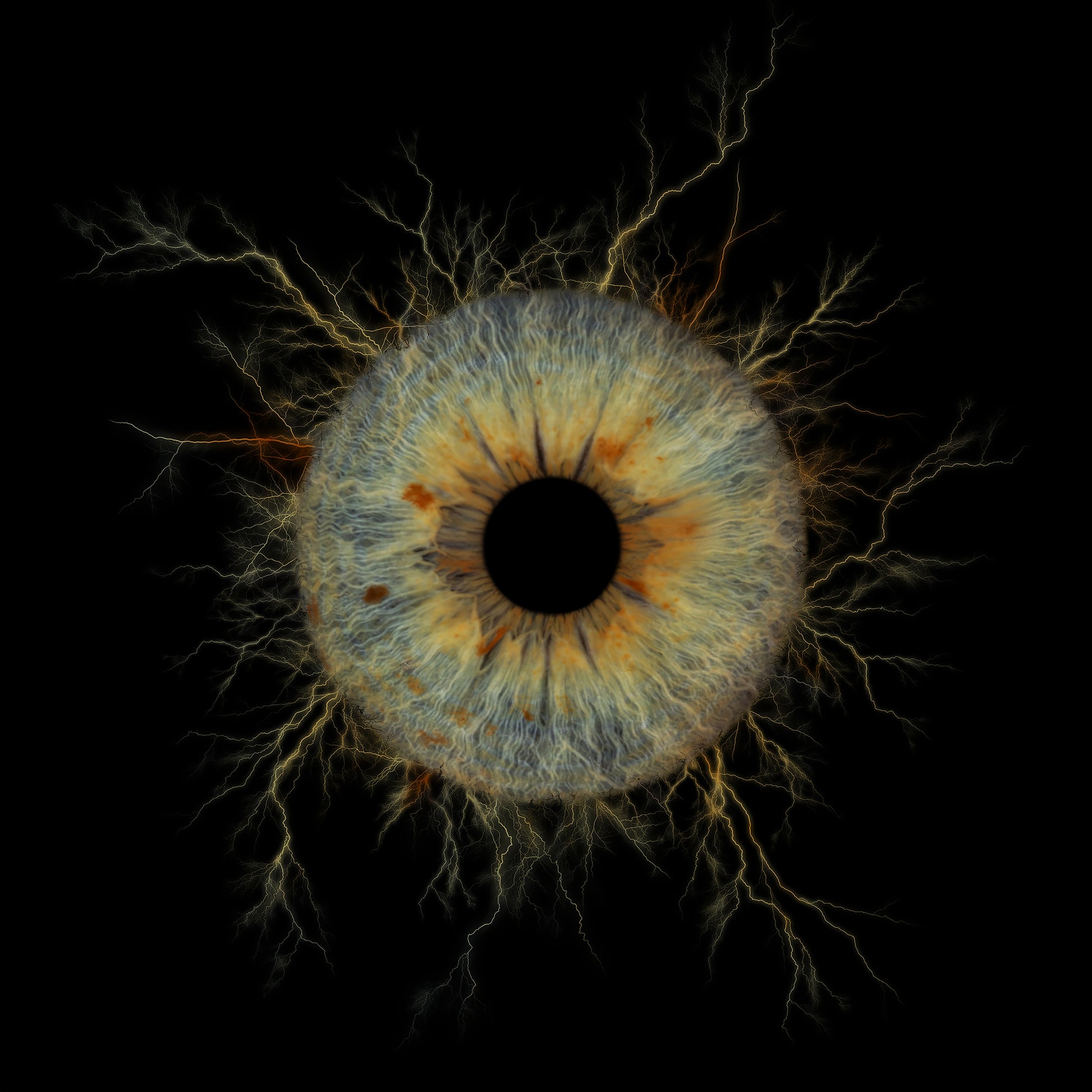 Single Iris Photography Metal Poster Thunder