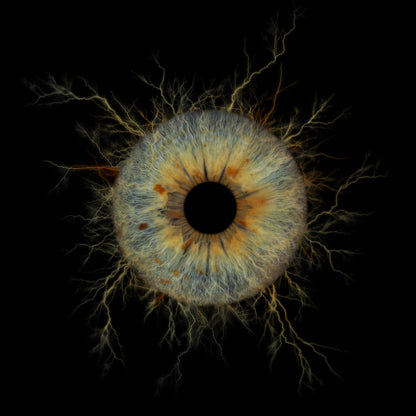 Single Iris Photography Metal Poster Thunder