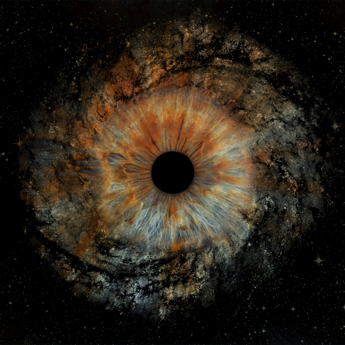 Single Iris Photography Metal Poster Universe