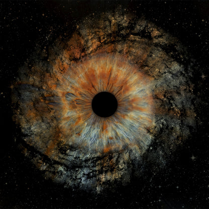 Single Iris Photography Metal Poster Universe